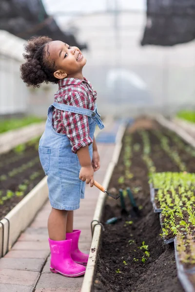 Menina Com Plantas Vegetais Agricultura Jardinagem Conceito Filha Plantando Vegetais — Fotografia de Stock