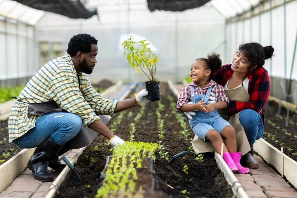 Dia Terra Conceito Dia Ambiente Jovem Planta Chão Mão — Fotografia de Stock