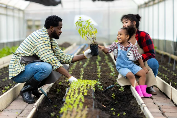 Dia Terra Conceito Dia Ambiente Jovem Planta Chão Mão — Fotografia de Stock