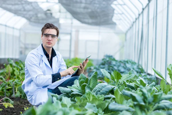 Scientist using Tablet or Smart Phone. Scientist work at Vegetable Garden Lab site.