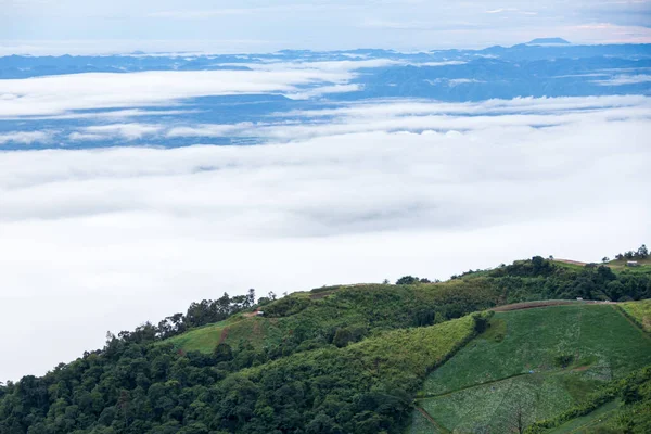 Fog Cloud Mountain Landscape Beautiful Landscape Mountain — Foto de Stock