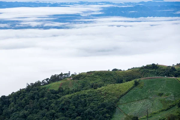 Fog Cloud Mountain Landscape Beautiful Landscape Mountain — Stock Photo, Image