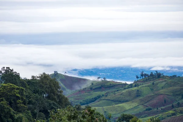 Fog Cloud Mountain Landscape Beautiful Landscape Mountain — Stockfoto