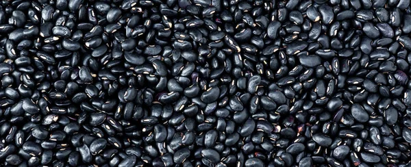 Black bean on background. top view. Black turtle beans are good for soup and stew. Fresh organic natural beans.