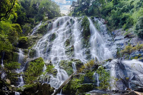 Şelale Tayland ormanında yer alıyor. Su kayalık bir uçurumdan bir havuza akar..