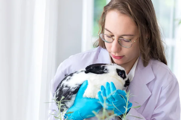 Scienziato Farmacista Che Tiene Simpatico Coniglietto Soffice Laboratorio Amicizia Con — Foto Stock