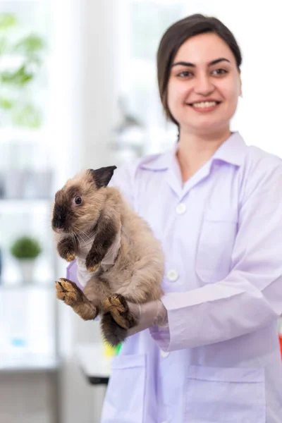 Scienziato Farmacista Che Tiene Simpatico Coniglietto Soffice Laboratorio Amicizia Con — Foto Stock