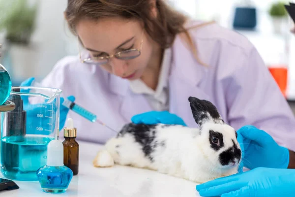 Scienziato Farmacista Fanno Test Sugli Ingredienti Chimici Ricerca Animali Laboratorio — Foto Stock