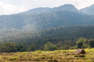 Kuzey dağ çim alan