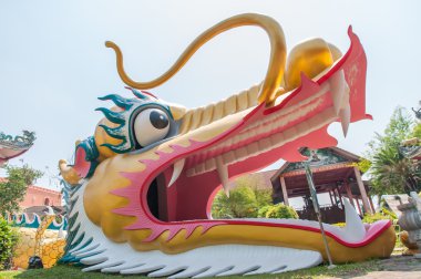 kafa büyük altın ejderha