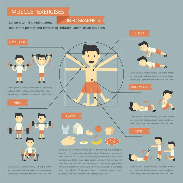 Infografiki ćwiczenia mięśni — Wektor stockowy