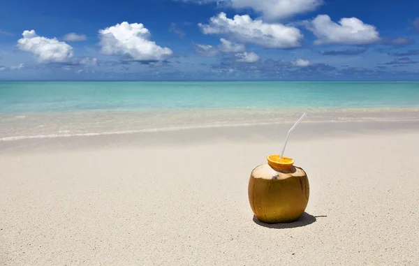 Kokos na plaży — Zdjęcie stockowe