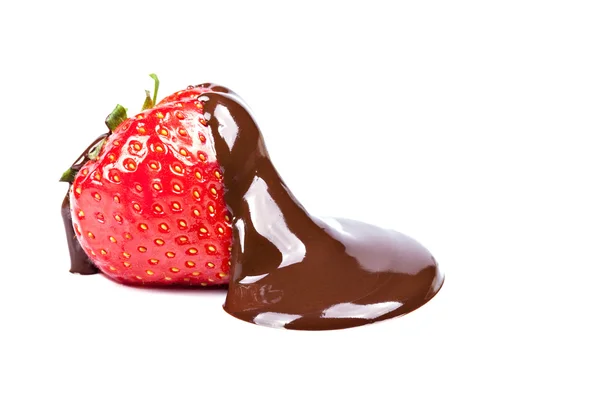 Choklad och jordgubbar - läcker dessert Stockbild