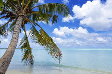 Maldivler - yeryüzünde cennet gezisi