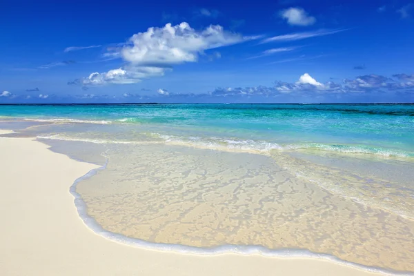 Paradise beach på ön Stockfoto