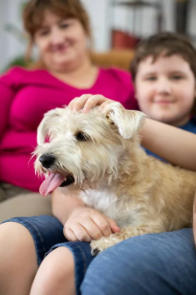 Un niño sostiene a un perro peludo en su regazo. El perro tiene la boca abierta y la lengua sobresaliendo. —  Fotos de Stock