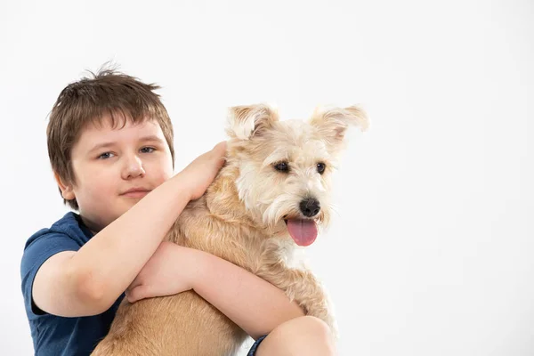 El joven sostiene a su perro en sus brazos y lo acaricia. Asunto aislado del contexto. —  Fotos de Stock