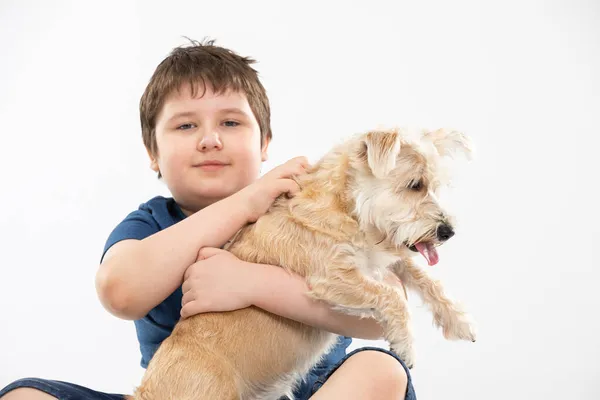 El joven sostiene a su perro en sus brazos y lo acaricia. Asunto aislado del contexto. —  Fotos de Stock