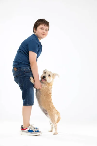 Собака стоит на задних лапах, мальчик держит его за передние лапы, и они оба смотрят в камеру.. — стоковое фото