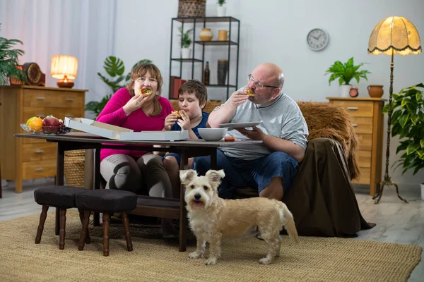 Um cão impaciente procura uma segunda pizza. A família consome a pizza. — Fotografia de Stock