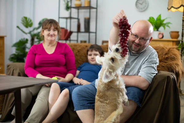 O pai mostra a uva para o cão e toda a família sorri. — Fotografia de Stock