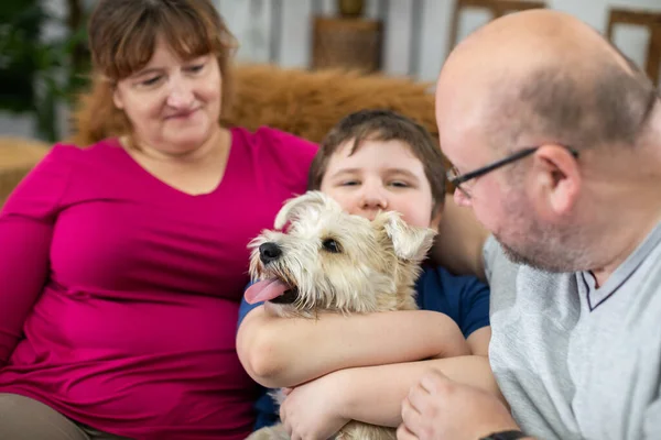 O filho está a abraçar o cão com força. Os pais estão sentados ao lado do filho no sofá na sala de estar. — Fotografia de Stock