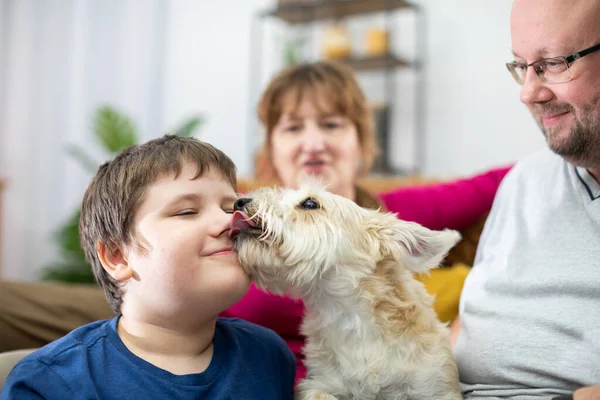 Um cão lambe o rosto de um menino que está sentado no sofá da sala de estar com seus pais. — Fotografia de Stock