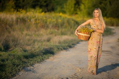 Bir bitkibilimci kumlu bir yolda elinde bir sepet dolusu otla kameraya doğru yürüyor. Altın çubuk ve kış çiçeği.