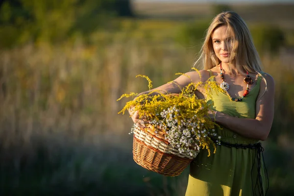 Un giovane erborista attraente tiene un cesto di vimini di erbe. Barra d'oro e fiore d'inverno comune. — Foto Stock