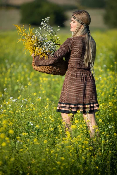 Un joven herbolario con una cesta de hierbas camina a través de un campo lleno de colza floreciente. Vara de oro y wintercress. —  Fotos de Stock