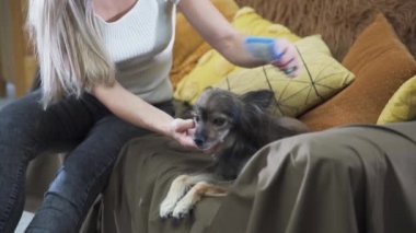 Köpek kulaklarının arkasına ve boynuna sürtünüyor ve kadın da ağızlığını eliyle tutuyor..