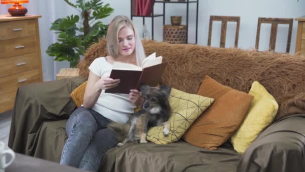 Seorang wanita duduk di sofa melihat melalui buku dan anjing berbaring di sampingnya. — Stok Video