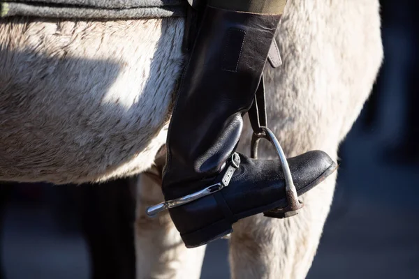 Buty wojskowe w strzemionie przeciwko końskim brzuchowi oczyszczają białego.. — Zdjęcie stockowe