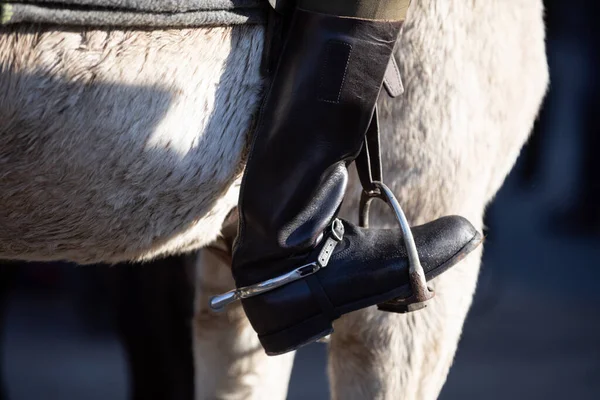 Een militaire laars in de stijgbeugel tegen de paarden buik rechtvaardigt de witte. — Stockfoto