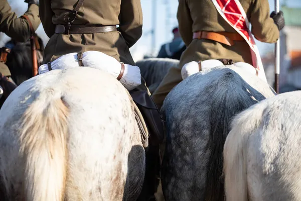 Вид лошади сзади и солдат, сидящих на ней. — стоковое фото