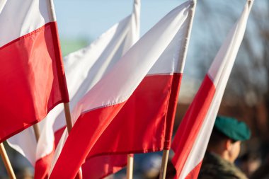 Polonya bayrakları dalgalanıyor ve arka planda yeşil bereli üniformalı bir asker duruyor..