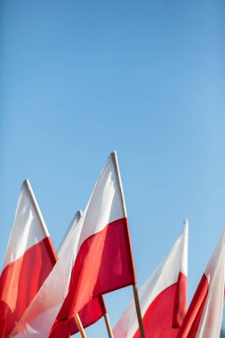 A group of red and white flags of the Polish state flutter in the wind. clipart