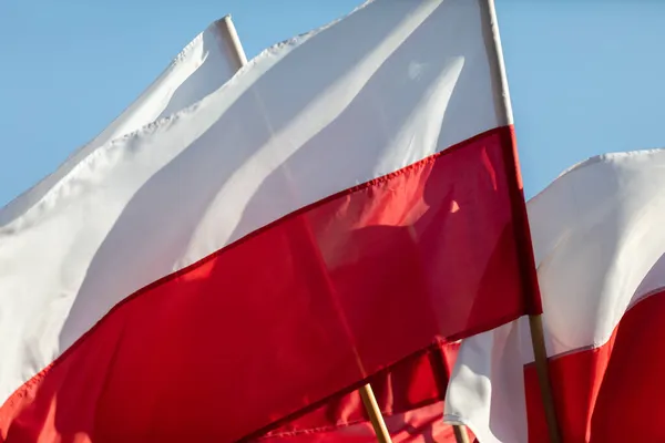 Um grupo de bandeiras vermelhas e brancas do estado polonês agitam-se ao vento. — Fotografia de Stock