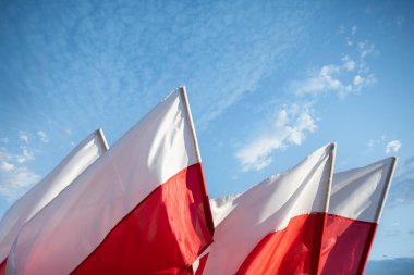 Yaz rüzgârında Polonya 'nın ulusal bayraklarını mavi gökyüzü ve bulutlardan oluşan bir arka planda sallıyordu..
