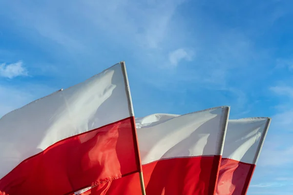Acenando bandeiras nacionais da Polônia no vento de verão contra um fundo de céu azul e nuvens. — Fotografia de Stock