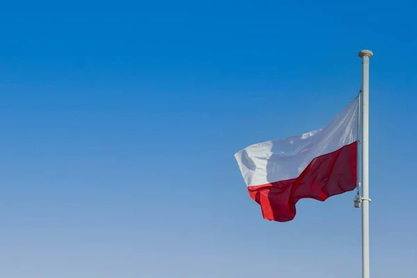 Флаг Польши, развевающийся на ветру на высоком шесте против голубого неба. — стоковое фото