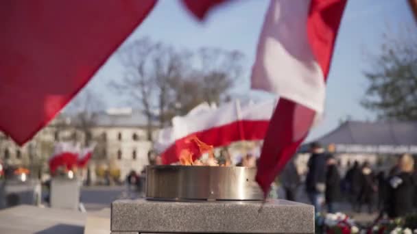 Kaars branden op een pony tijdens een feest van onafhankelijkheid. Vlag van Polen. — Stockvideo