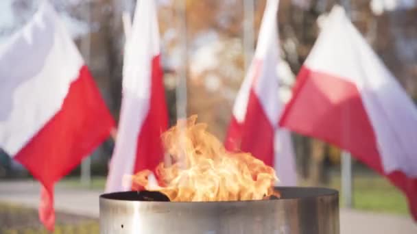 Een vuur brandt in een kaars tijdens een nationale feestdag tegen een achtergrond van wapperende Poolse vlaggen. — Stockvideo