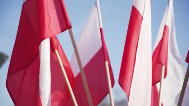 Polens weiß-rote Nationalflaggen wehen im Wind gegen den Himmel. — Stockvideo