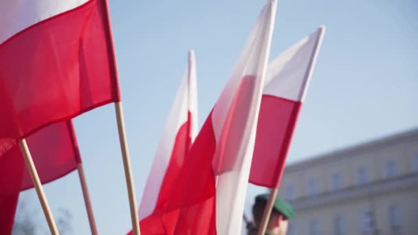 Banderas de Polonia ondeando. En el fondo hay un soldado. — Vídeos de Stock