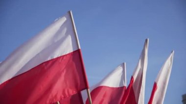 Polands beyaz ve kırmızı ulusal bayraklar gökyüzüne karşı rüzgarda dalgalanıyor.