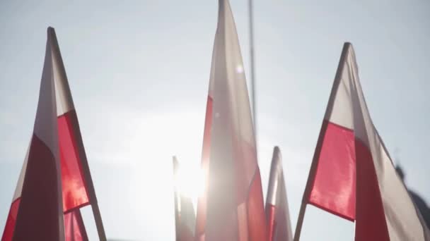 Sunbeams pierce through the flying red and white flags. — Stock Video