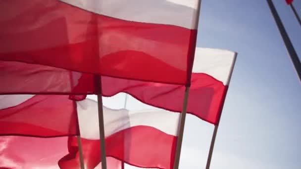 Σημαίες κυματίζουν έντονα στον άνεμο ενάντια στον ουρανό. Σημαία του πολωνικού κράτους. — Αρχείο Βίντεο