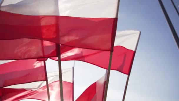 Bendera berkibar-kibar dalam angin melawan langit. Bendera negara Polandia. — Stok Video