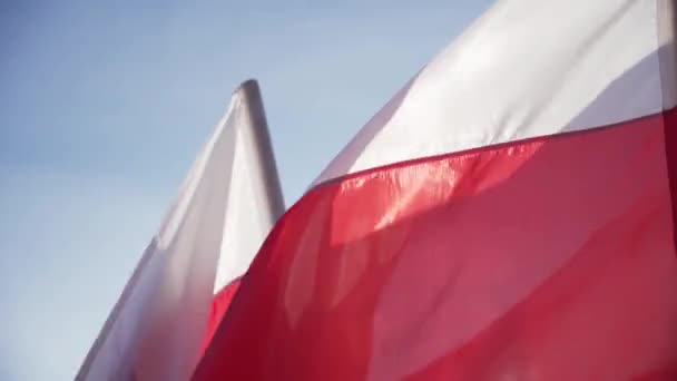 Bílé a červené vlajky jsou vidět z velmi zblízka vlny v letním větru. Vlajka polského státu. — Stock video